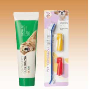 Tooth Paste With Brush Kit