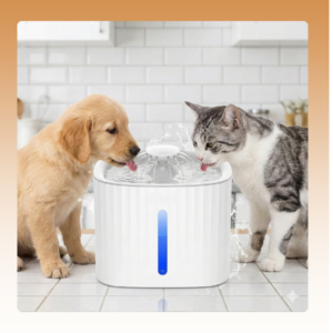 Dog & Cat Water Fountain